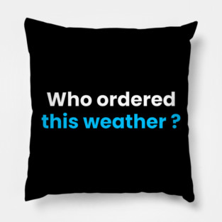 Who order this weather 🌡️? Pillow
