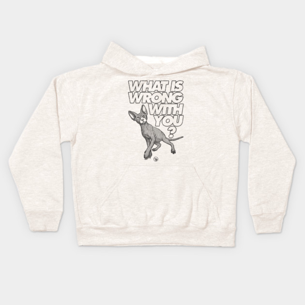 Sus Cat Kids Hoodie by Wrongteeshirt