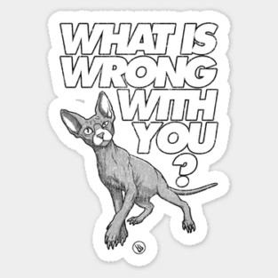 Sus Cat - Funny Suspicious Cat Meme “What Is Wrong With You?” Sticker