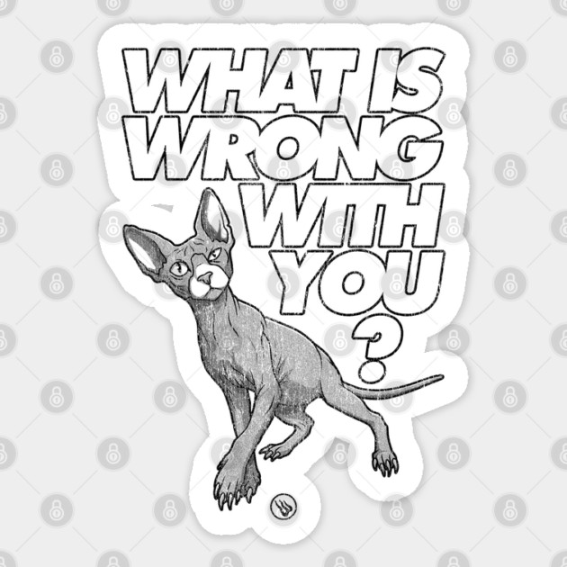 Sus Cat - Funny Suspicious Cat Meme “What Is Wrong With You?” Sticker by Wrong