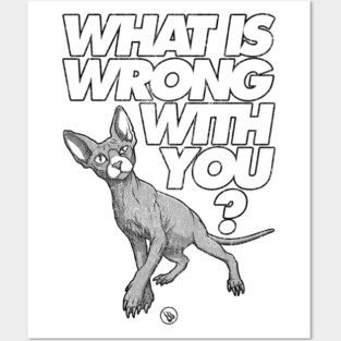 Sus Cat Posters and Art