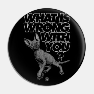 Curious Cat Pin