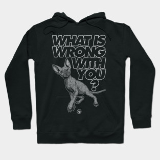 Curious Cat Hoodie