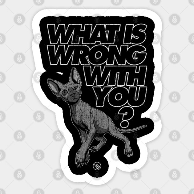 Curious Cat Sticker by Wrong