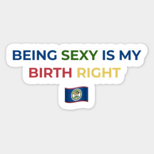 Being Sexy is My Birth Right Belize Magnet