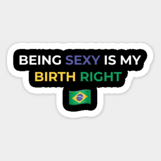 Being Sexy is My Birth Right Brazil Magnet