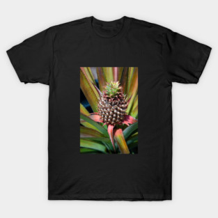 Young pineapple growing under the tropical sun T-Shirt