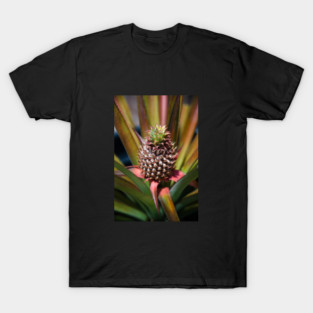 Young pineapple growing under the tropical sun T-Shirt