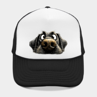 Black Labrador ‘Schmoozing’ Hat