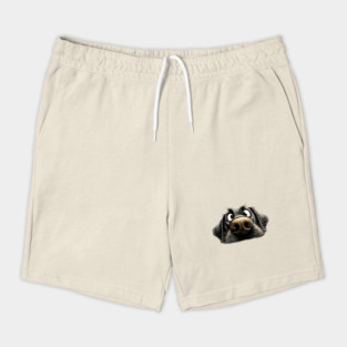 Black Labrador ‘Schmoozing’ Shorts
