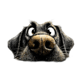 Black Labrador ‘Schmoozing’