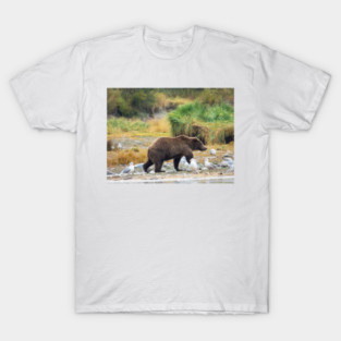 Brown Bear, Alaska T-Shirt