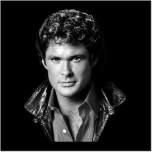 David Hasselhoff Posters and Art