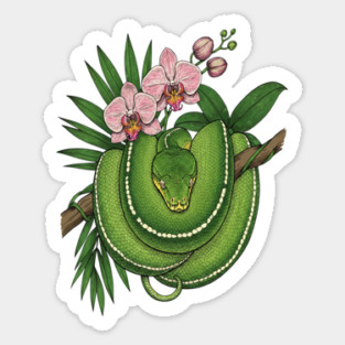 Green Tree Python with Pink Orchids Sticker