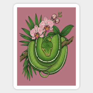 Green Tree Python with Pink Orchids Magnet