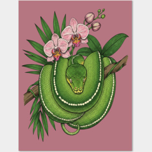 Green Tree Python with Pink Orchids Posters and Art