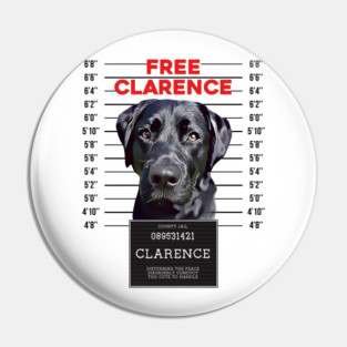Free Clarence Pin