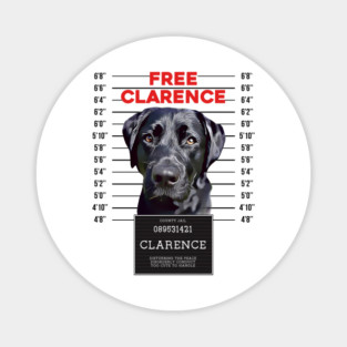Free Clarence Magnet