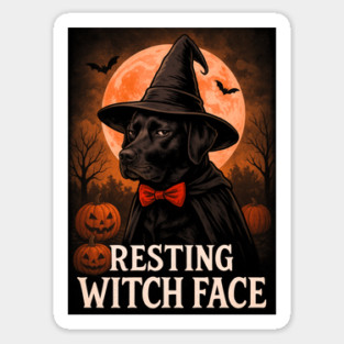 Resting Witch Face Magnet