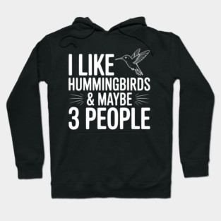 I Like Hummingbirds and Maybe 3 People Hoodie