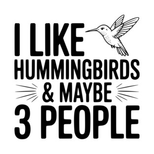 I Like Hummingbirds and Maybe 3 People T-Shirt
