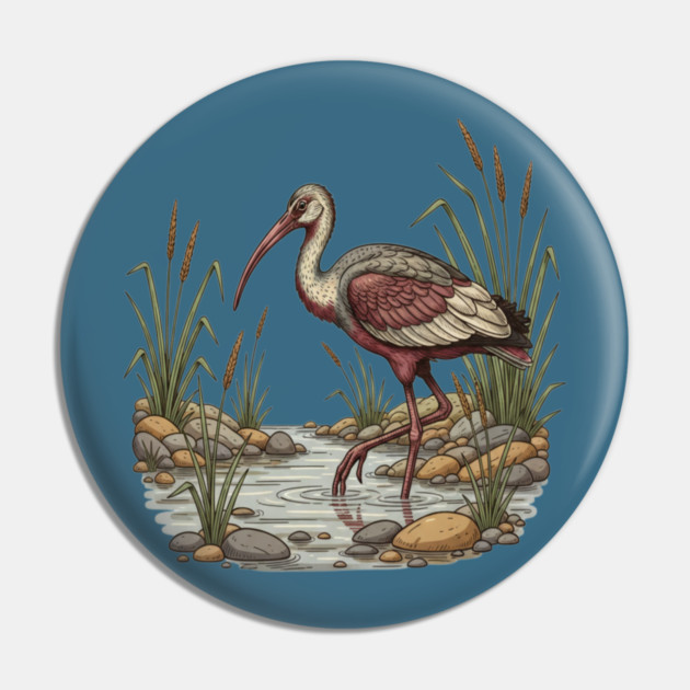 Ibisbill Bird Walking in River with Reeds Pin by BirdsnStuff