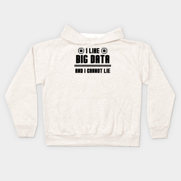 I Like Big Data And I Cannot Lie Kids Hoodie by enrynz