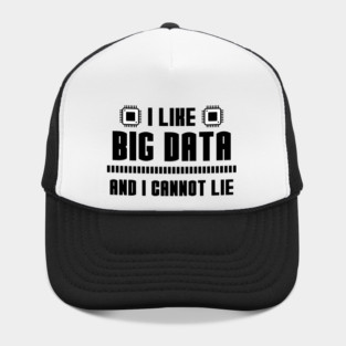 I Like Big Data And I Cannot Lie Hat