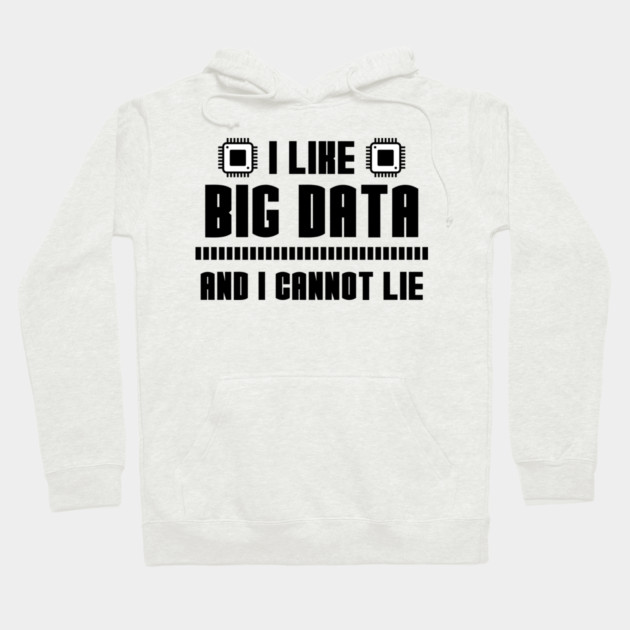 I Like Big Data And I Cannot Lie Hoodie by enrynz