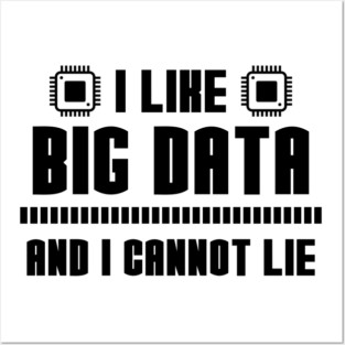 I Like Big Data And I Cannot Lie Posters and Art