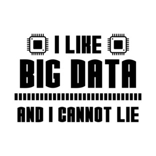 I Like Big Data And I Cannot Lie T-Shirt