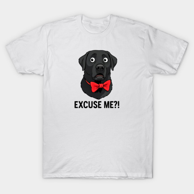 EXCUSE ME?! T-Shirt by James's Store 98