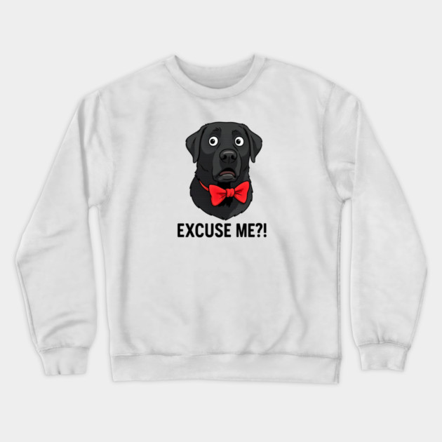 EXCUSE ME?! Crewneck Sweatshirt by James's Store 98