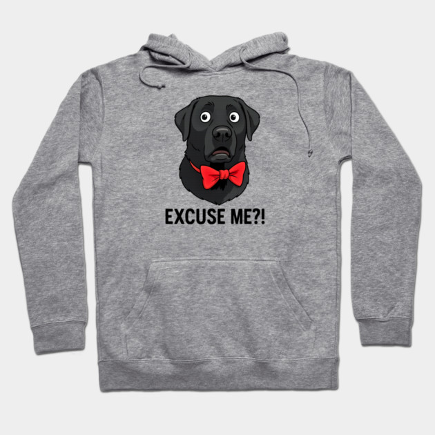 EXCUSE ME?! Hoodie by James's Store 98