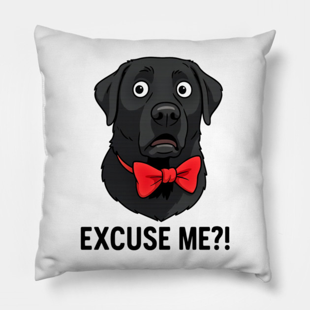 EXCUSE ME?! Pillow by James's Store 98