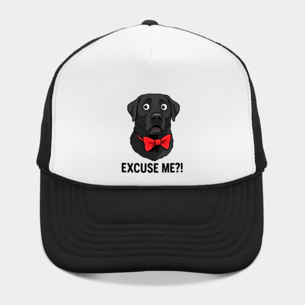 EXCUSE ME?! by James's Store 98