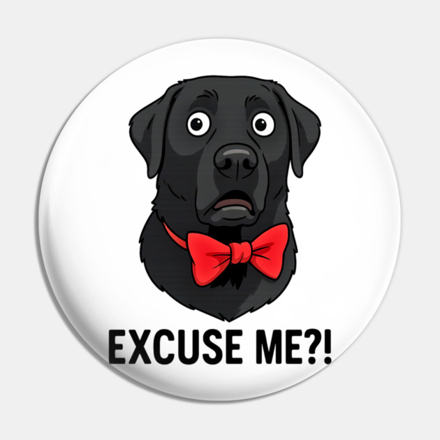 EXCUSE ME?! Pin by James's Store 98