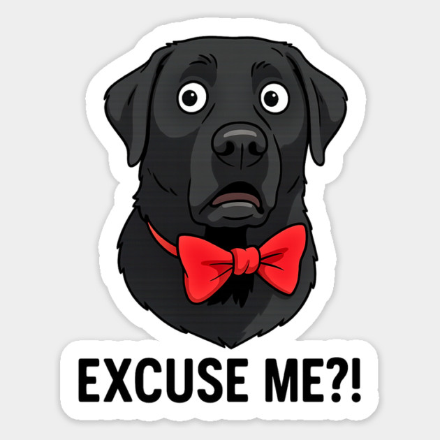 EXCUSE ME?! Magnet by James's Store 98