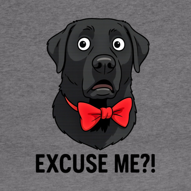 EXCUSE ME?! by James's Store 98
