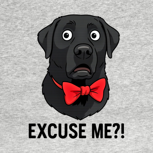 EXCUSE ME?! by James's Store 98