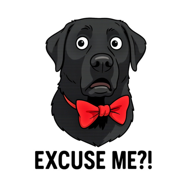 EXCUSE ME?! by James's Store 98