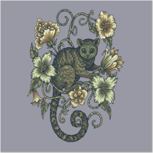 Kinkajou Honey Bear and Tropical Flowers Posters and Art