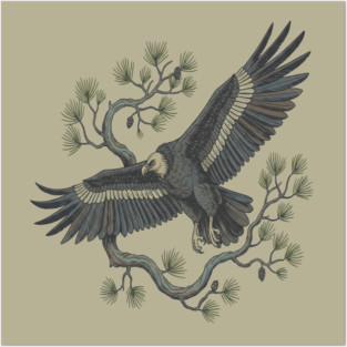 Lammergeier Bearded Vulture Bird in Flight Posters and Art