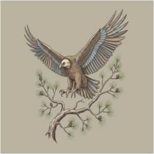 Lammergeier Vulture Landing on Pine Branch Posters and Art