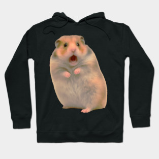Funny Shocked Hamster Meme Hoodie