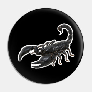 Scorpion Pin
