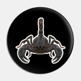 Scorpion Pin