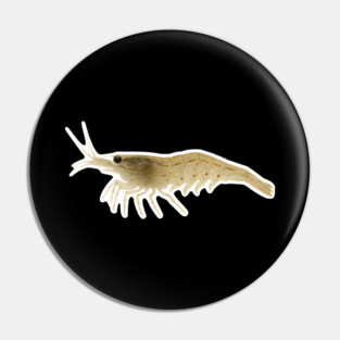 Amano Shrimp Pin