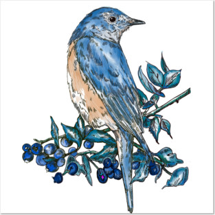 Bluebird Posters and Art