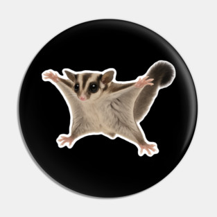 Sugar Glider Pin